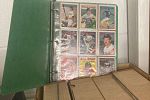 Sale Photo Thumbnail #28