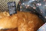 Sale Photo Thumbnail #29