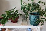Sale Photo Thumbnail #44