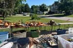Sale Photo Thumbnail #5
