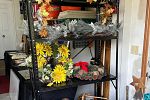 Sale Photo Thumbnail #17