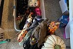 Sale Photo Thumbnail #41
