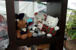 Sale Photo Thumbnail #37