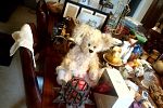 Sale Photo Thumbnail #24