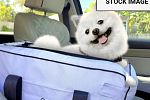 Sale Photo Thumbnail #174