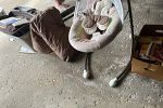 Sale Photo Thumbnail #12