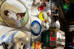 Sale Photo Thumbnail #22