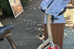 Sale Photo Thumbnail #7