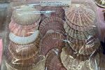 Sale Photo Thumbnail #33
