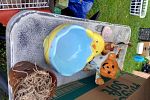 Sale Photo Thumbnail #22