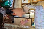 Sale Photo Thumbnail #11