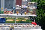 Sale Photo Thumbnail #18