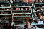 Sale Photo Thumbnail #26