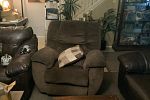 Sale Photo Thumbnail #104