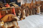 Sale Photo Thumbnail #6