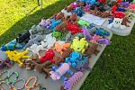 Sale Photo Thumbnail #11