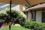 Sale Photo Thumbnail #29