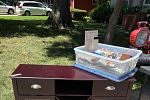 Sale Photo Thumbnail #29