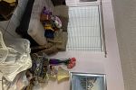 Sale Photo Thumbnail #2
