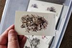 Sale Photo Thumbnail #59