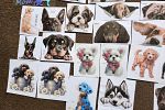 Sale Photo Thumbnail #75