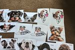 Sale Photo Thumbnail #70