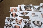 Sale Photo Thumbnail #71