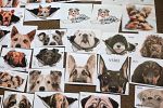 Sale Photo Thumbnail #76