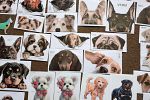 Sale Photo Thumbnail #74