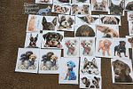Sale Photo Thumbnail #67