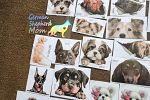 Sale Photo Thumbnail #73