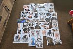 Sale Photo Thumbnail #66