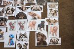 Sale Photo Thumbnail #68