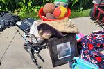 Sale Photo Thumbnail #15