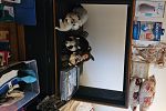 Sale Photo Thumbnail #12