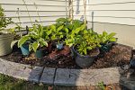 Sale Photo Thumbnail #34