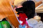 Sale Photo Thumbnail #12