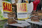 Sale Photo Thumbnail #29