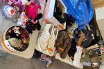 Sale Photo Thumbnail #8