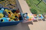 Sale Photo Thumbnail #14