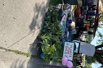 Sale Photo Thumbnail #8
