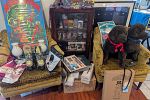 Sale Photo Thumbnail #2
