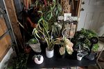 Sale Photo Thumbnail #29