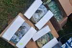 Sale Photo Thumbnail #17