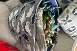 Sale Photo Thumbnail #14