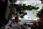 Sale Photo Thumbnail #22