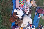 Sale Photo Thumbnail #3