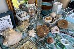 Sale Photo Thumbnail #8