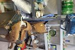 Sale Photo Thumbnail #28