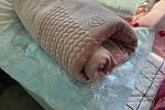 Sale Photo Thumbnail #18